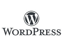 レンタルサーバーはWordPressでサイト構築　スキルはプログラミング学習でアップ